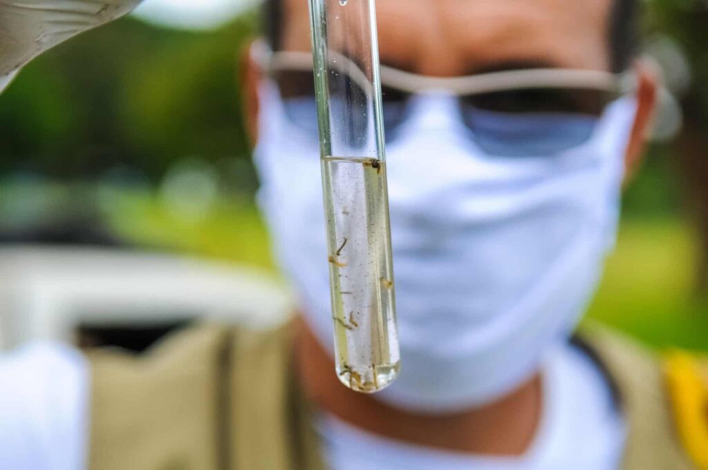 coronavírus tira o foco da doença causada pelo Aedes aegypti