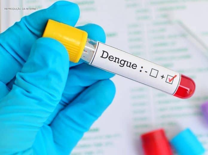 Tudo sobre o mosquito da dengue