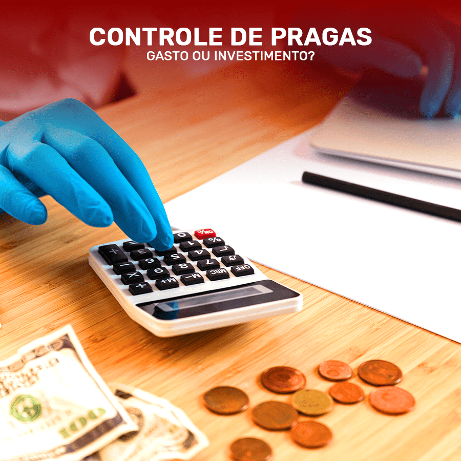 Gasto ou Investimento