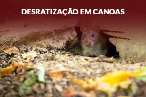 desratização em canoas