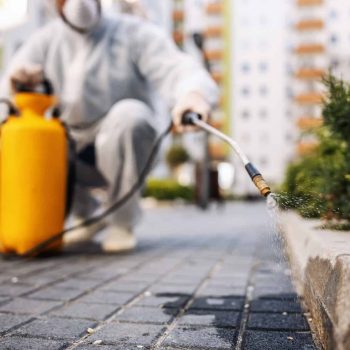 O que é Desinsetização Técnico aplicando desinsetização em área externa